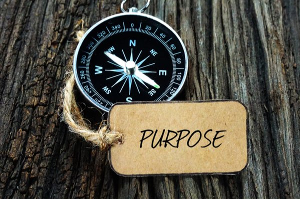 Find Meaning and Purpose 